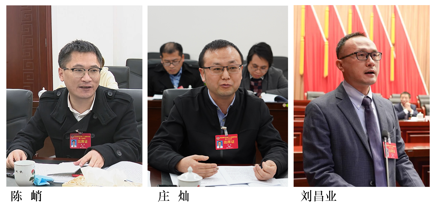 民进委员在政协联组会议上积极建言献策，受到邓娟娟部长高度肯定