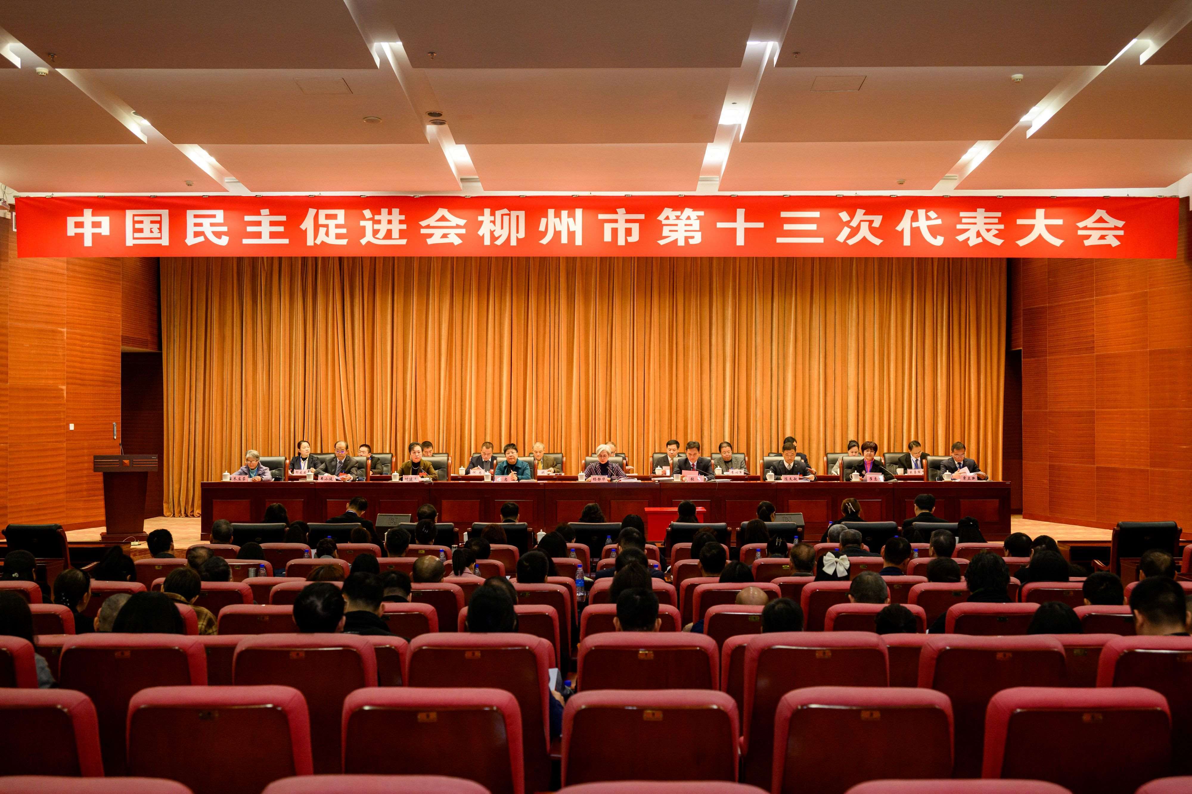 民进柳州市第十三次代表大会顺利召开